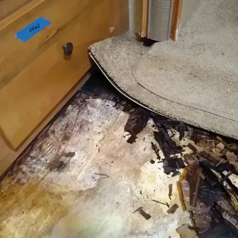 Wood Floor Water Damage in Alondra Park, CA